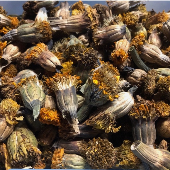 Giant African Marigold Orange Yellow DRIED SEED HEADS Organic 2024~ 1/2 oz - Picture 1 of 4